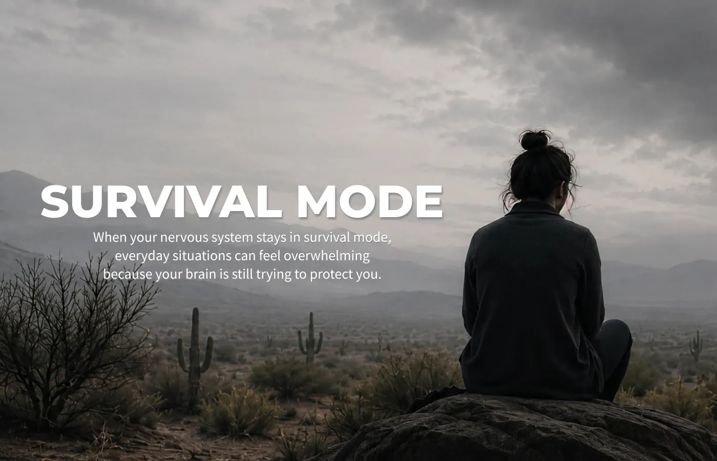 Person sitting alone in the Arizona desert under a cloudy sky, representing the nervous system in survival mode after trauma.